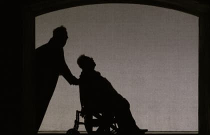 Ревизор. Версия