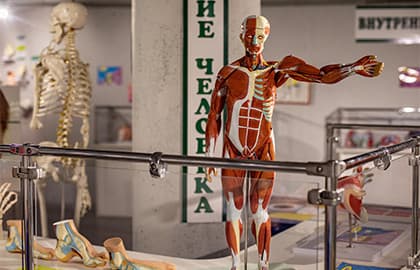 Внутри человека