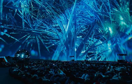 Полнокупольное шоу «Тайны ледяной планеты»