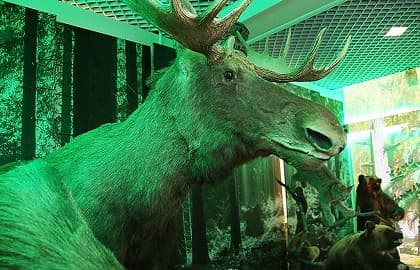 Тематическая экскурсия «Живая энциклопедия Кузбасса»