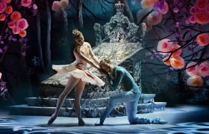 Спящая красавица