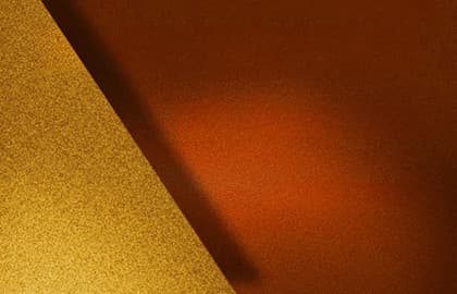 Мольер. Наследники