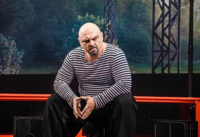 Балканская пленница