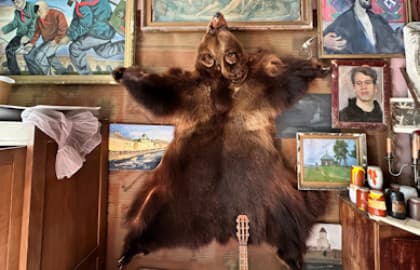 Живые коммуналки Петербурга: комнаты, кухни, истории