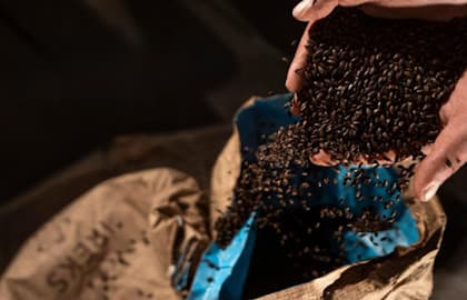 Экскурсия на Домодедовский пивоваренный завод