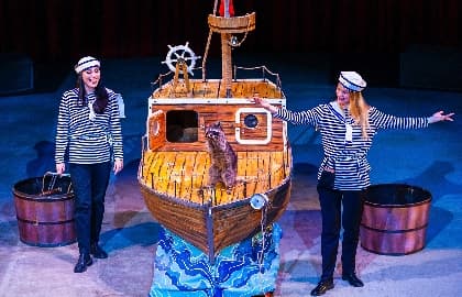 Дорога – длиною в век