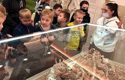 Тематическая экскурсия «Динозавровая фауна Кузбасса»